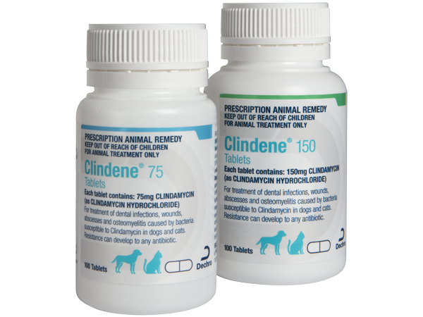 Clindene Tablets